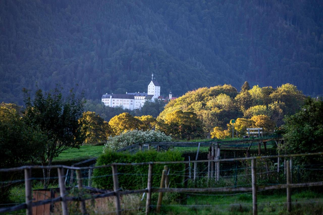 Ferienwohnungen Erlebnisnaturhof Aschau im Chiemgau Esterno foto